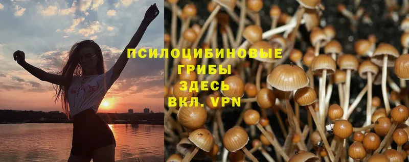 Галлюциногенные грибы Magic Shrooms  Волоколамск 